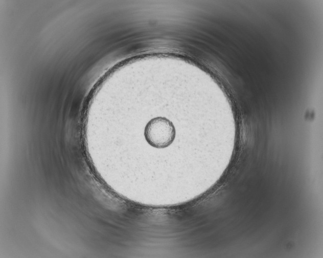 X0000111030828200907091543