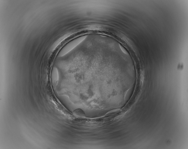 X0000111030829200907091543