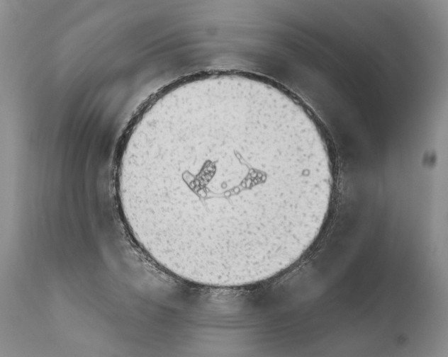 X0000111030832200907091543