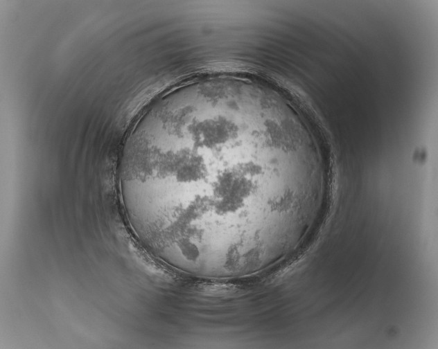 X0000111030833200907091543