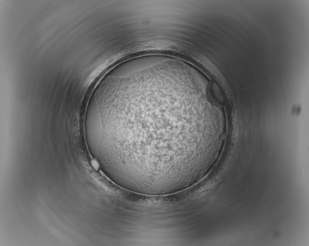 X0000111030834200907091543