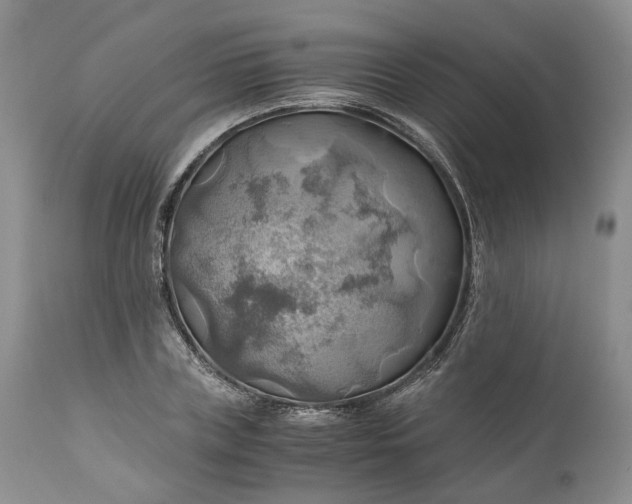 X0000111030835200907091543