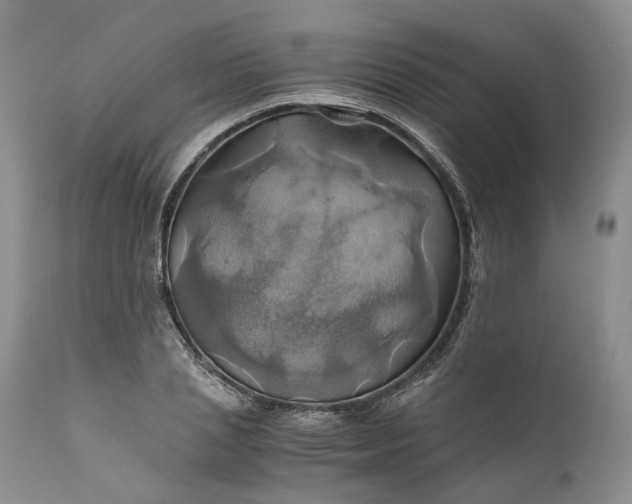 X0000111030837200907091543