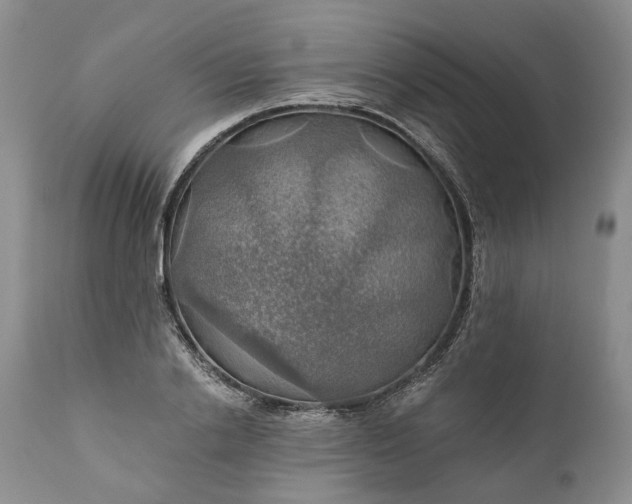 X0000111030838200907091543