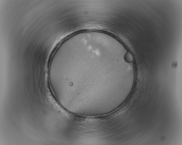 X0000111030840200907091543