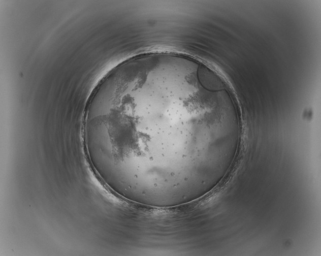 X0000111030847200907091543