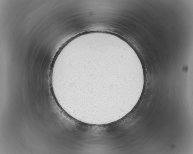 X0000111030848200907091543