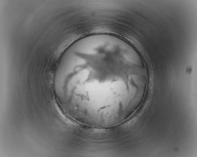 X0000111030849200907091543
