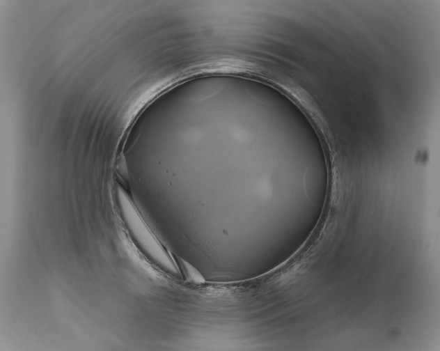 X0000111030850200907091543