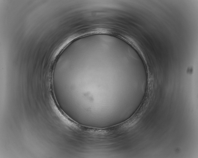 X0000111030851200907091543
