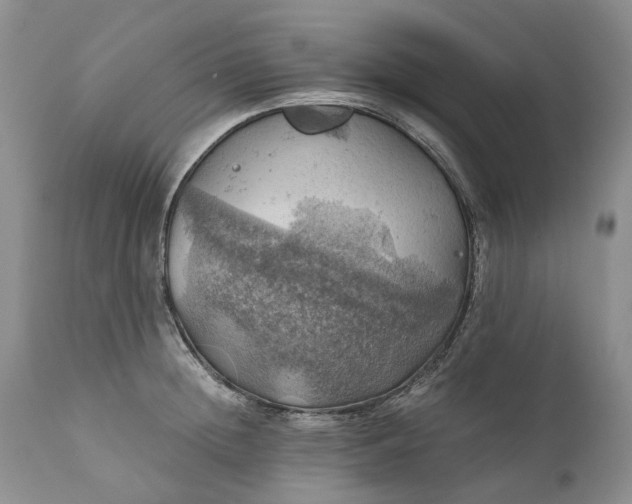 X0000111030852200907091543