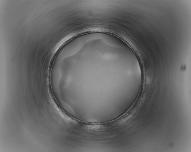 X0000111030853200907091543