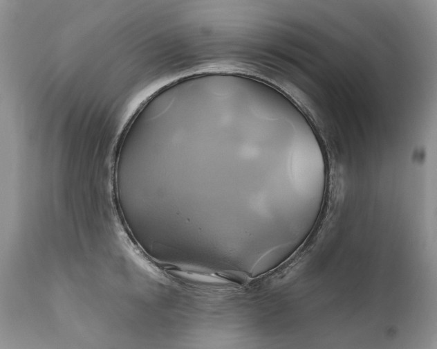 X0000111030854200907091543