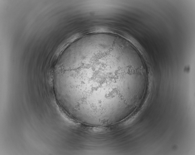 X0000111030857200907091543