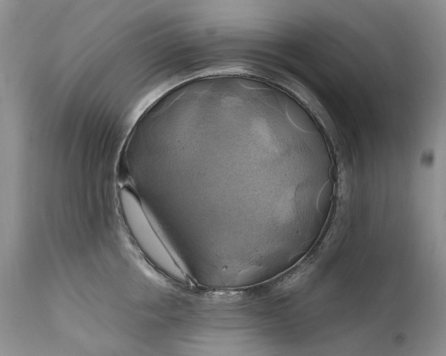 X0000111030858200907091543
