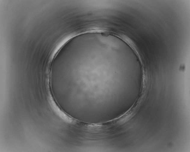 X0000111030859200907091543