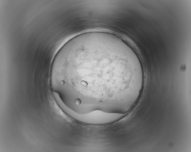 X0000111030860200907091543
