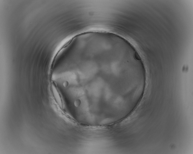 X0000111030864200907091543