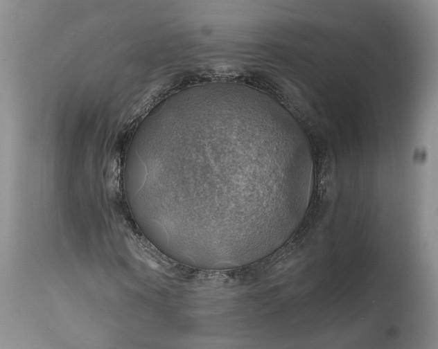 X0000111030866200907091543