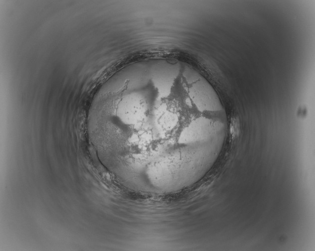 X0000111030867200907091543