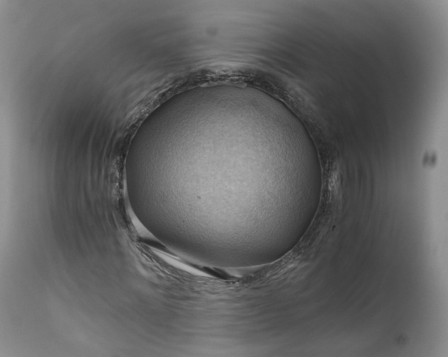 X0000111030868200907091543