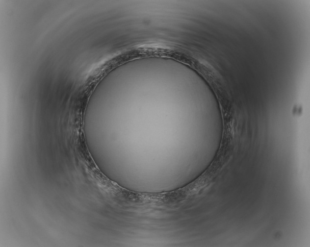X0000111030870200907091542