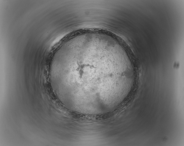 X0000111030871200907091542