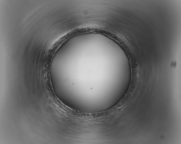 X0000111030872200907091542