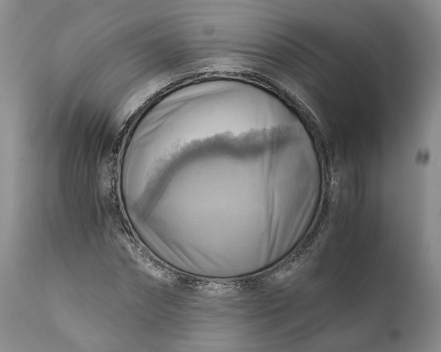 X0000111030874200907091542