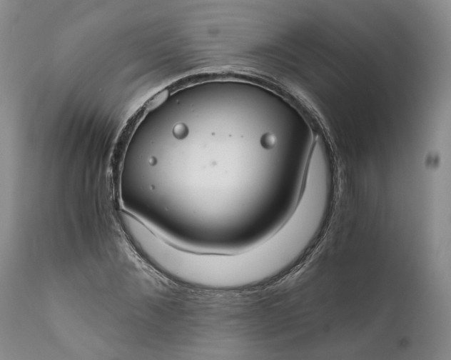 X0000111030876200907091542