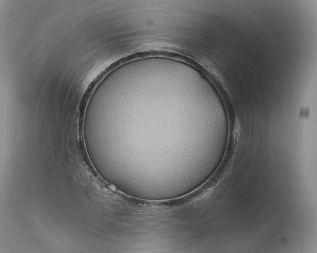X0000111030877200907091542