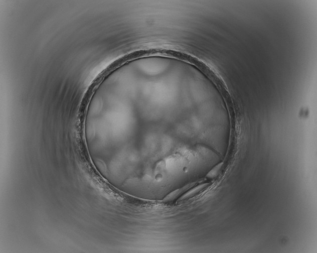 X0000111030879200907091542