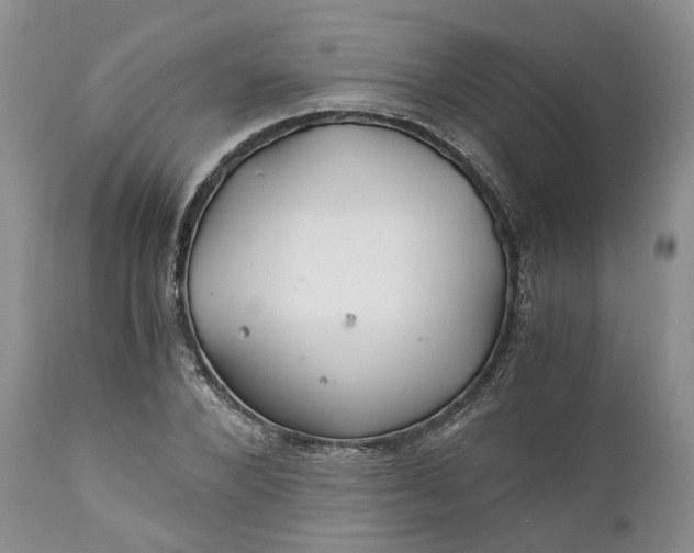 X0000111030880200907091542