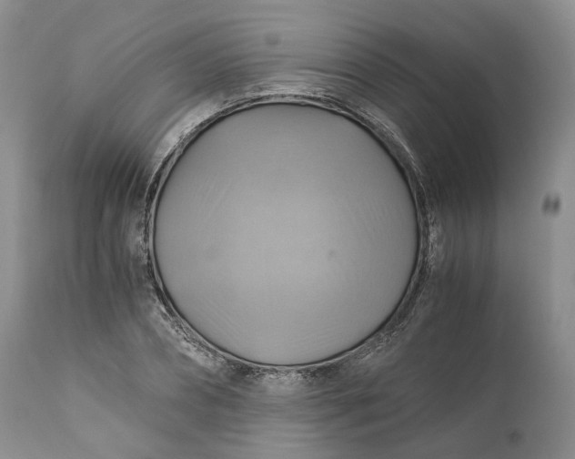 X0000111030882200907091542