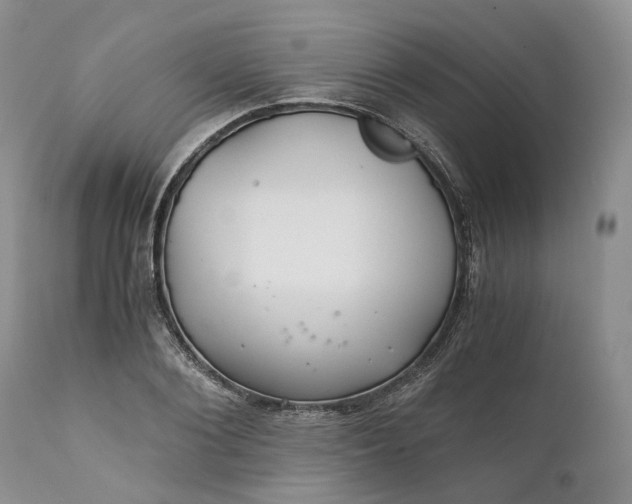 X0000111030884200907091542