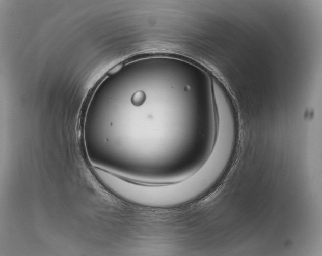 X0000111030885200907091542