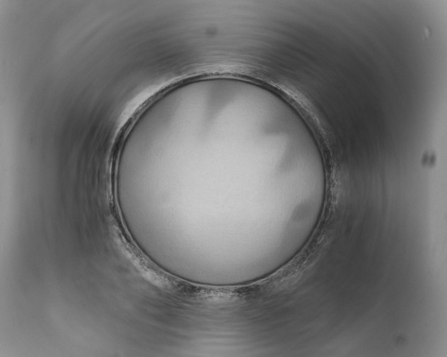 X0000111030886200907091542
