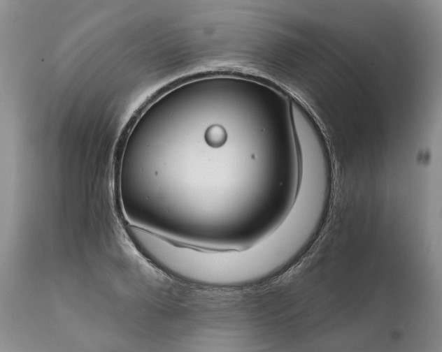 X0000111030888200907091542
