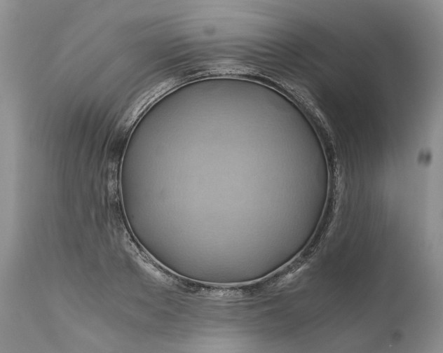 X0000111030889200907091542