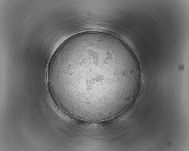 X0000111030891200907091542