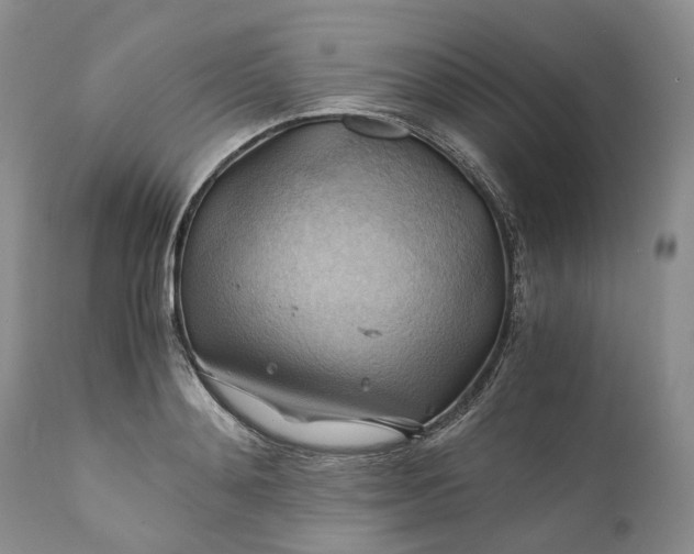X0000111030892200907091542