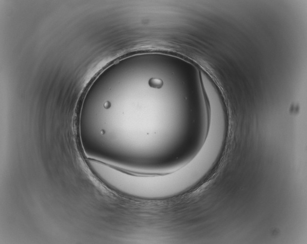 X0000111030893200907091542