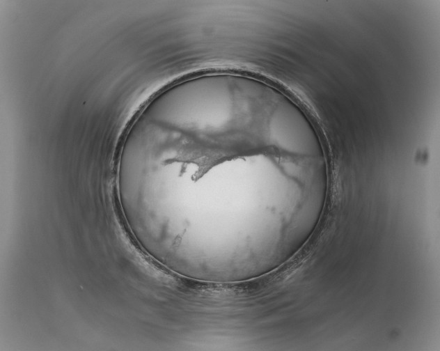 X0000111030895200907091542