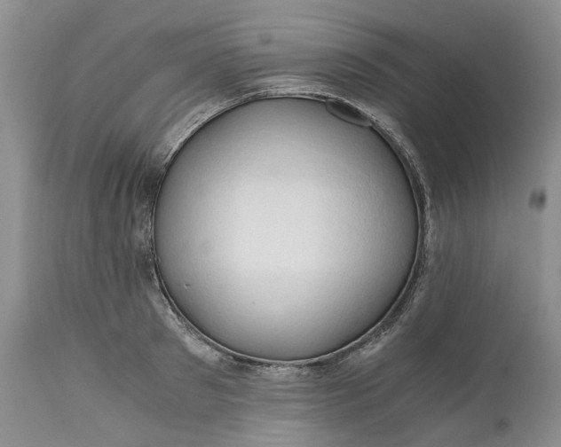 X0000111030897200907091542