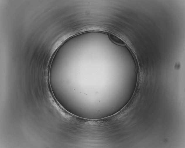 X0000111030898200907091542