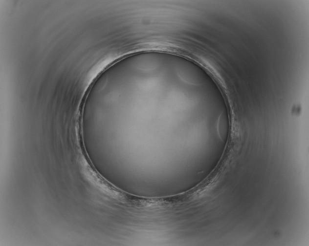 X0000111030899200907091542