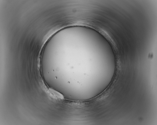 X0000111030900200907091542