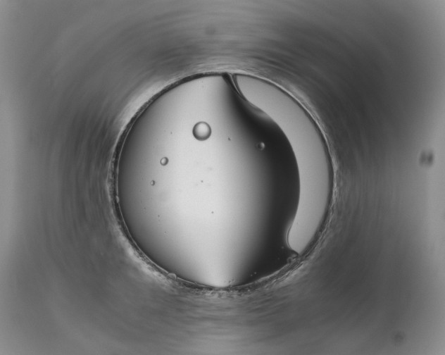 X0000111030901200907091542