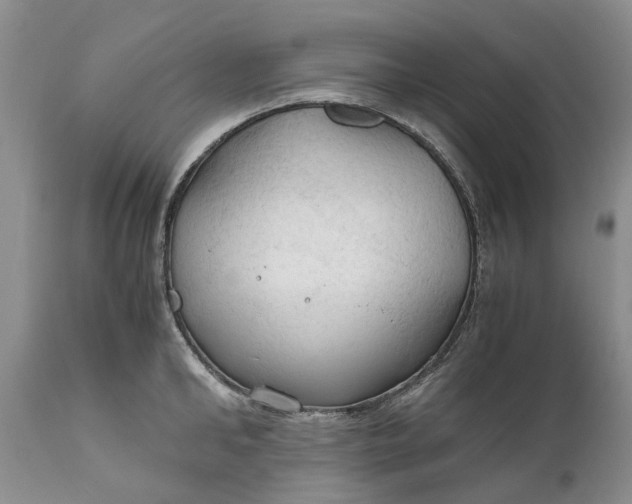 X0000111030902200907091542