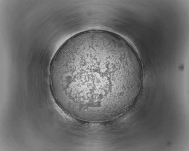 X0000111030903200907091542